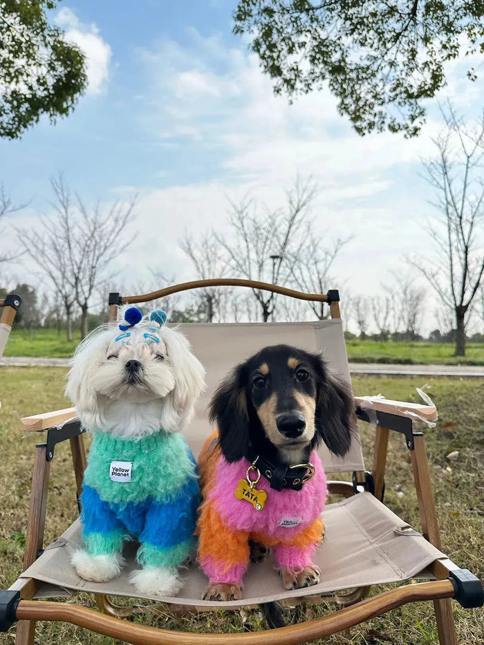 FuwaFuwa | Ultra-Soft Stretchy Fluffy Dog Pullover - Sunset