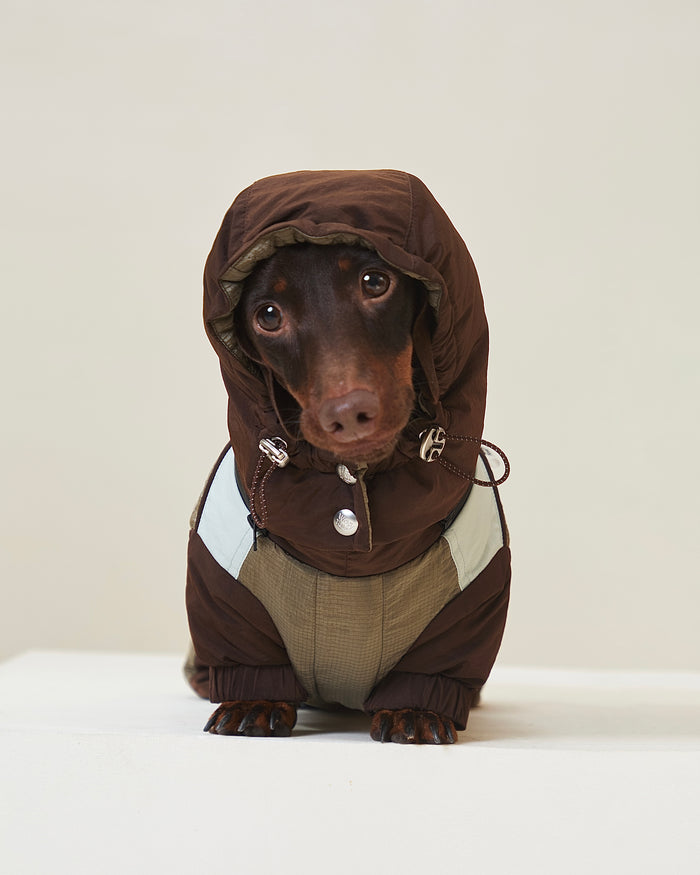 Snowy Forest 2.0 | Waterproof 4-Leg Snow Suit | Dachshund Fit