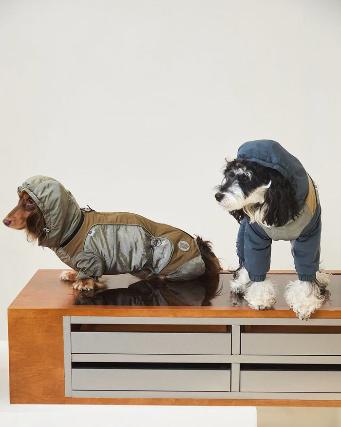 Snowy Forest 2.0 | Waterproof 4-Leg Snow Suit | Dachshund Fit