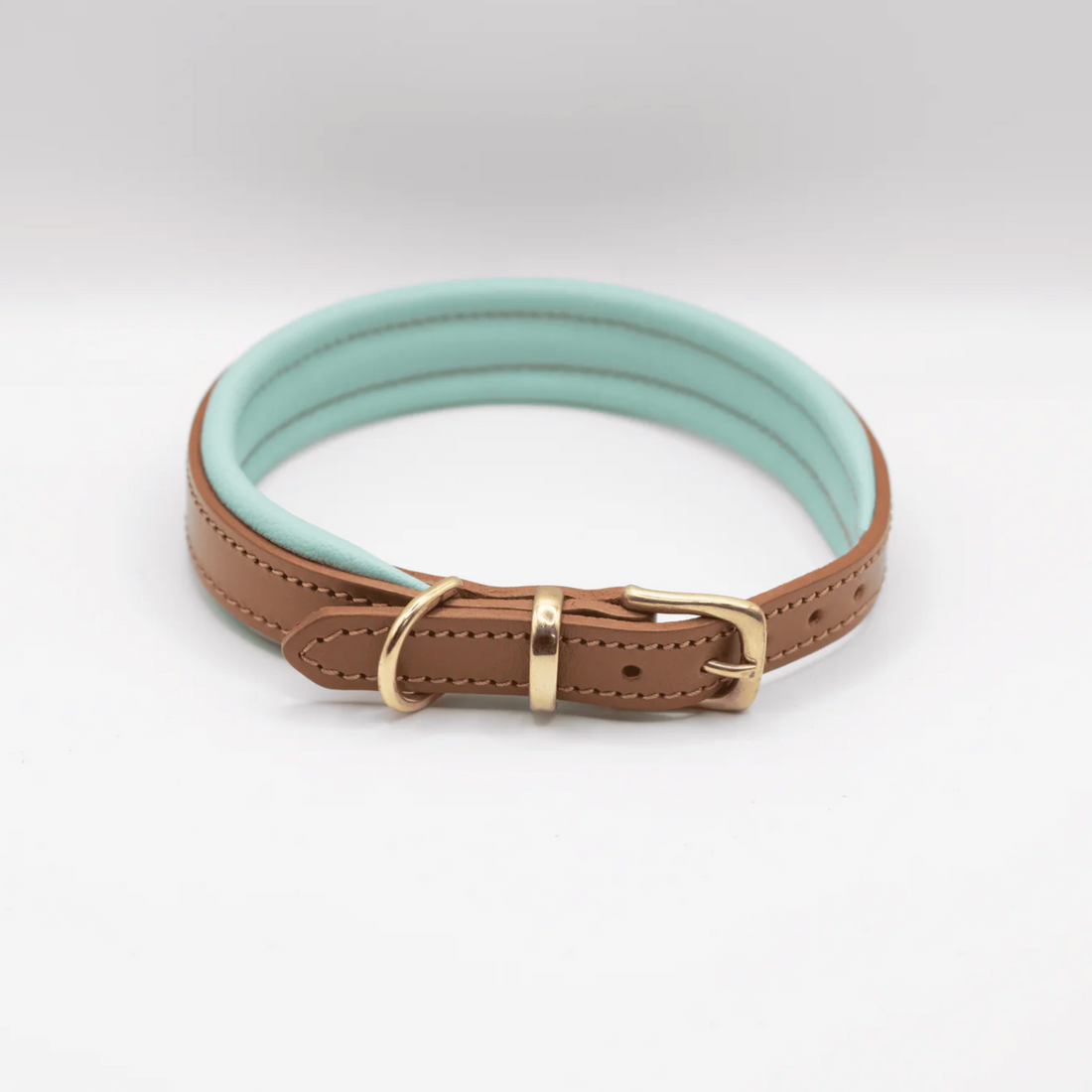 D&H Padded Leather Dog Collar Aqua and Tan