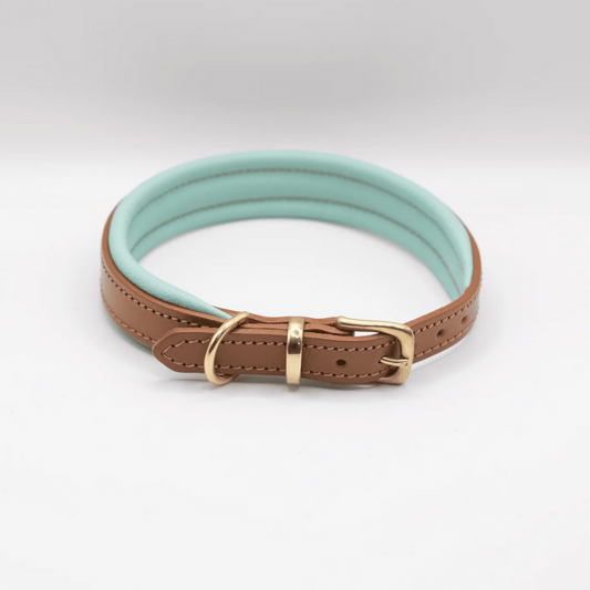 D&H Padded Leather Dog Collar Aqua and Tan