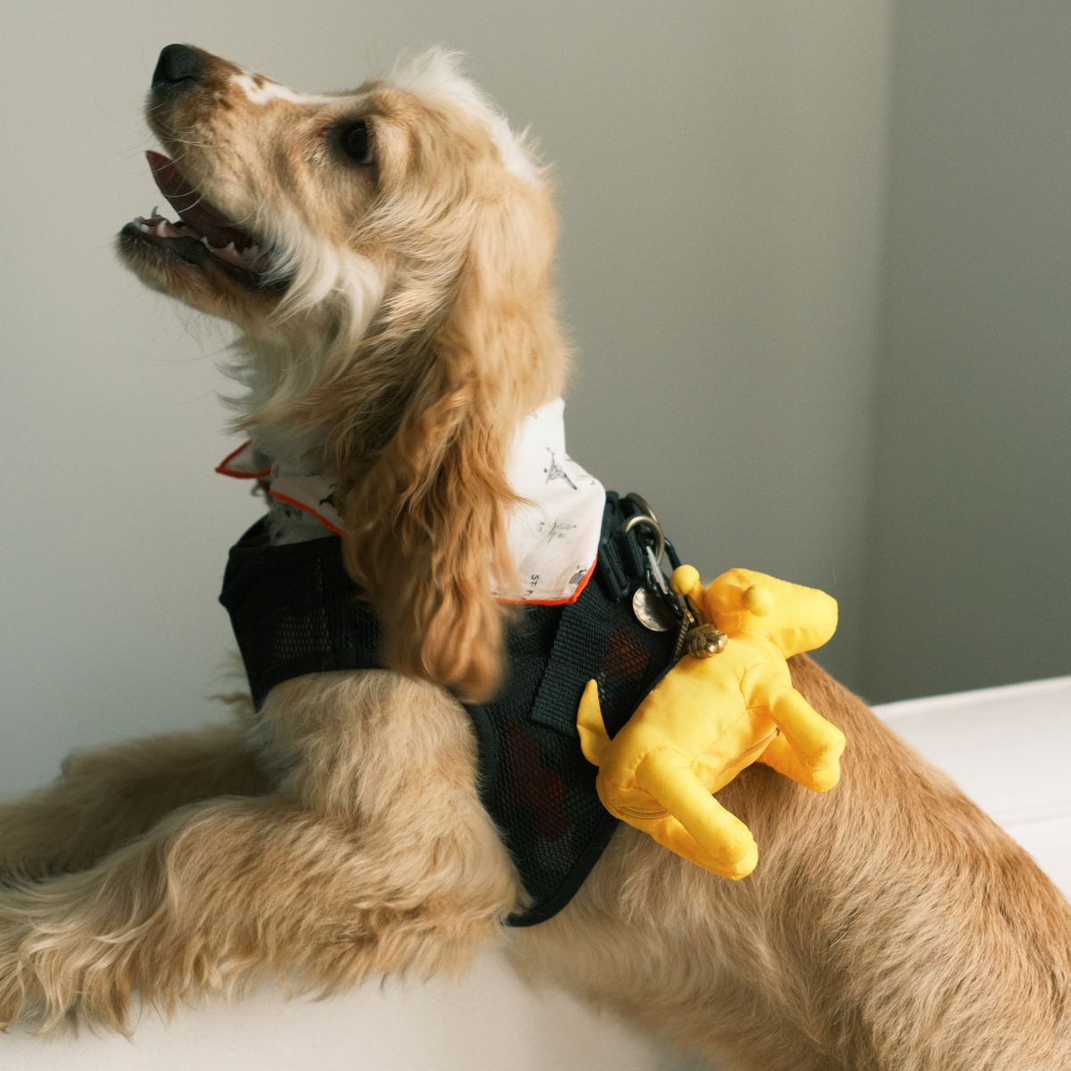 St. Pia PomPaw Poop Bag Holder