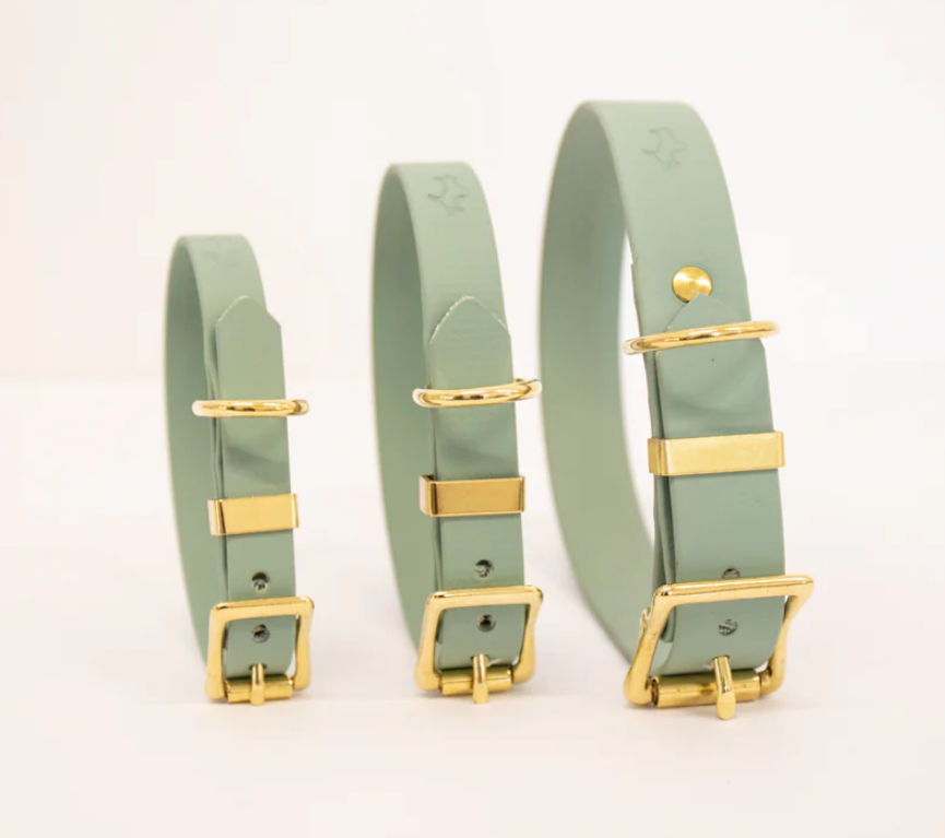 Storeys & Tails Sage Biothane® All Weather Collar
