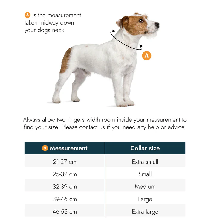 Storeys & Tails Sage Biothane® All Weather Collar