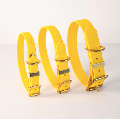 Storeys & Tails Yellow Biothane® All Weather Collar