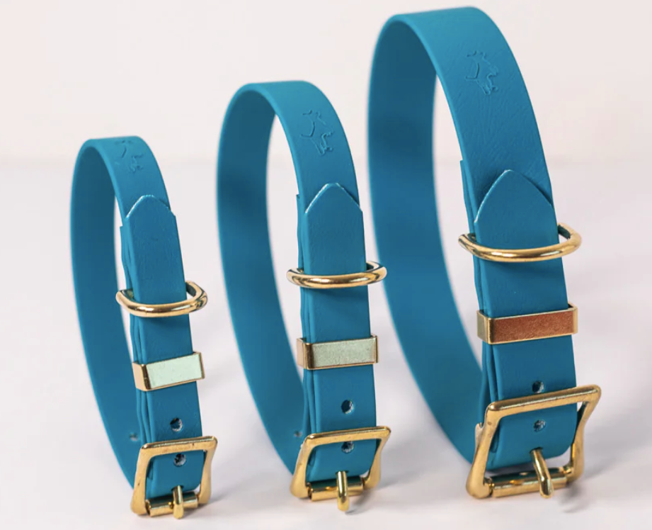 Storeys & Tails Lagoon Biothane® All Weather Collar
