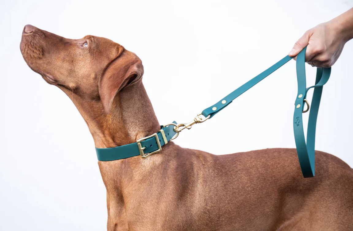 Storeys & Tails Green Biothane® All Weather Collar