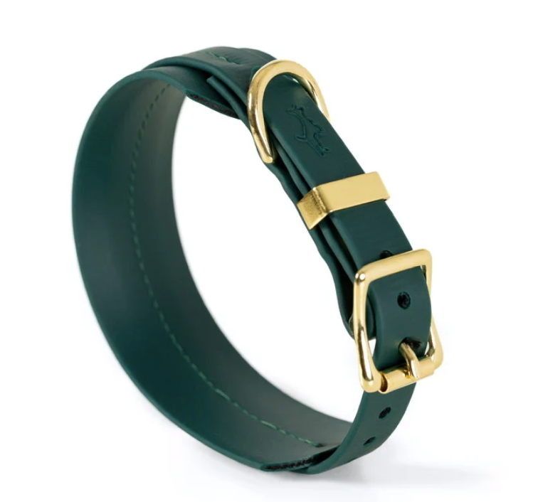 Storeys & Tails Green Biothane® Sight hound All Weather Collar