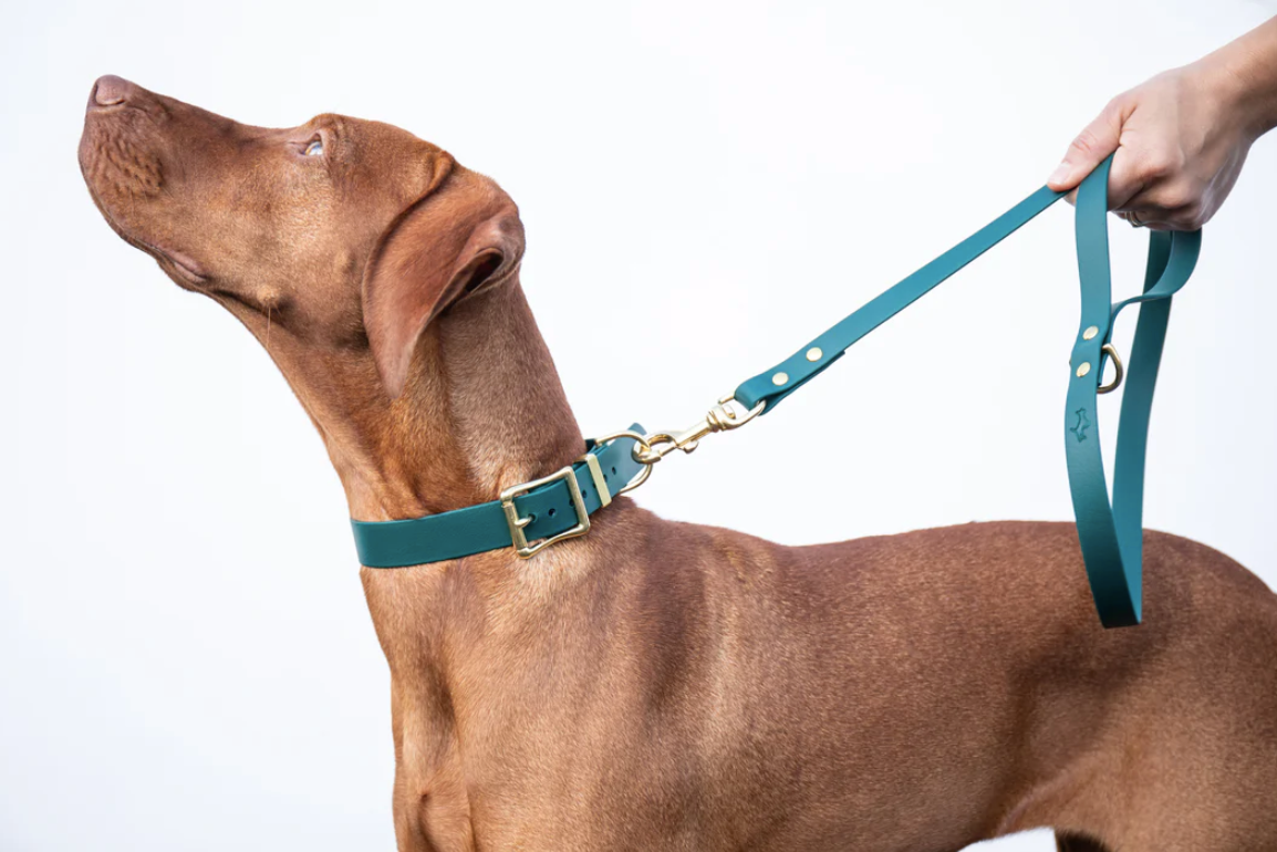 Storeys & Tails Green Biothane® All Weather Lead