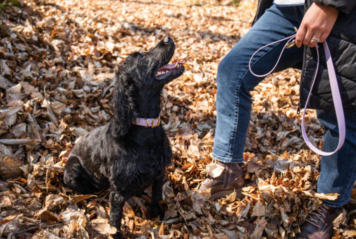 Storeys & Tails Lilac Biothane® All Weather Lead