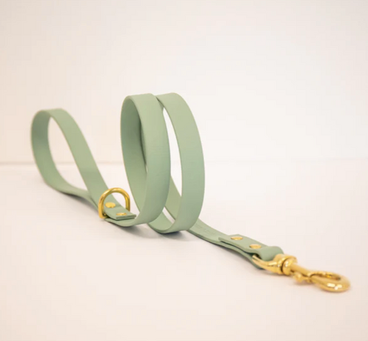 Storeys & Tails Sage Biothane® All Weather Lead