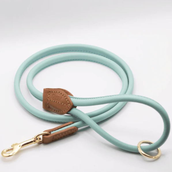 D&H Rolled Soft Leather Dog Lead Aqua