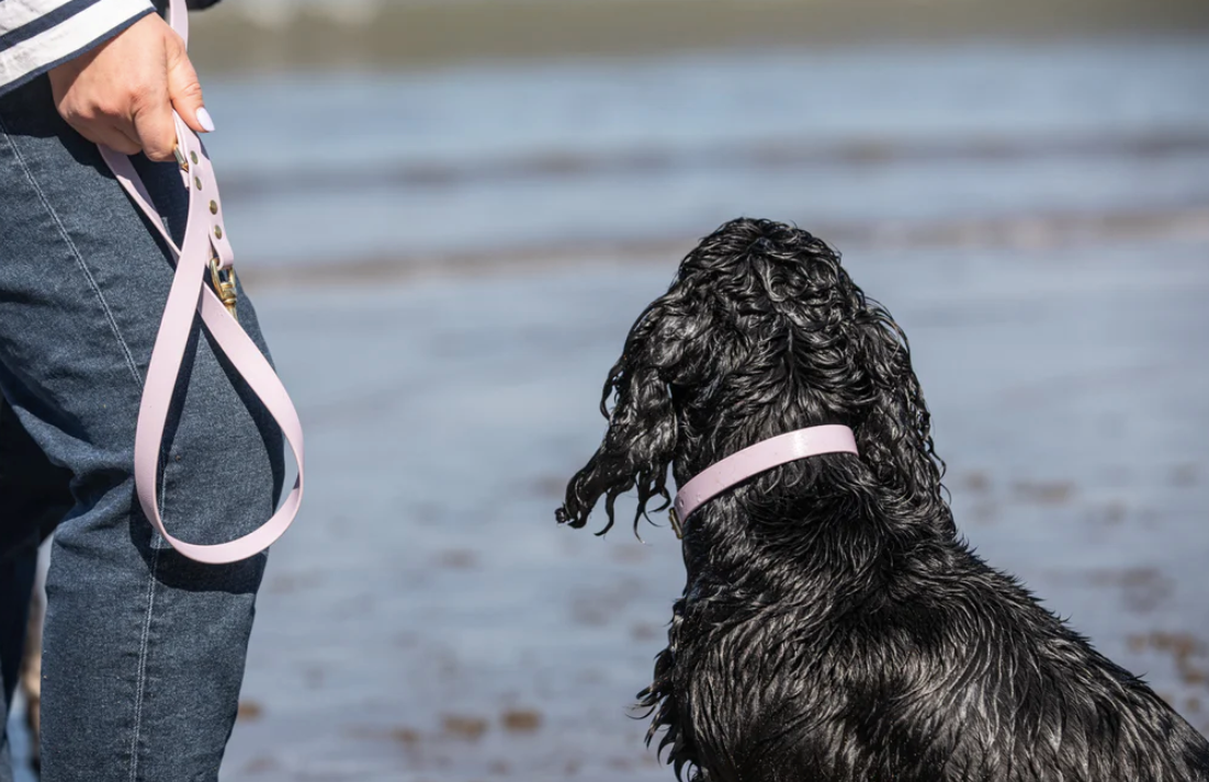 Storeys & Tails Lilac Biothane® All Weather Collar