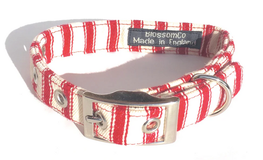BlossomCo Seymour - Red Ticking Dog Collar