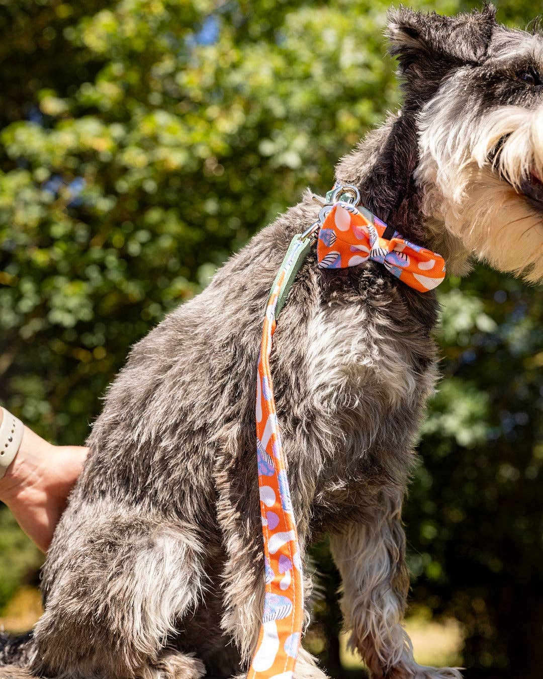 Hiro + Wolf Magical Mushrooms Dog Bow Tie
