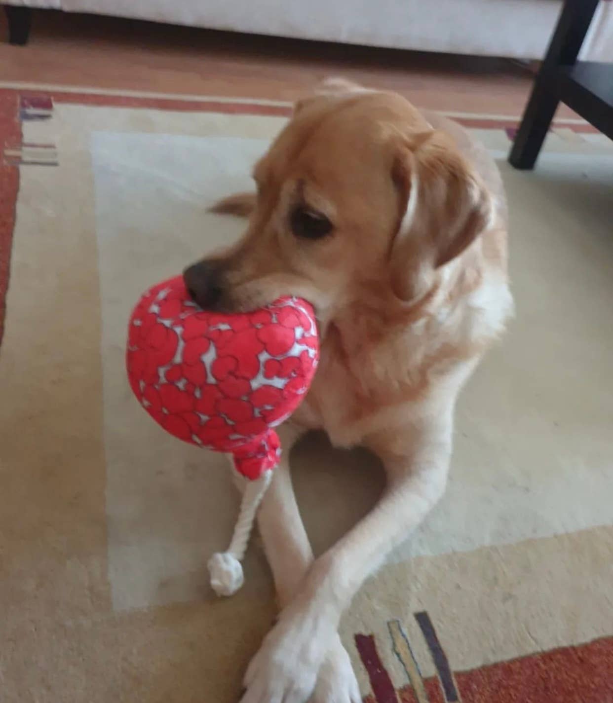 WufWuf Love is in the Air, Balloon-Shaped Rope Toy
