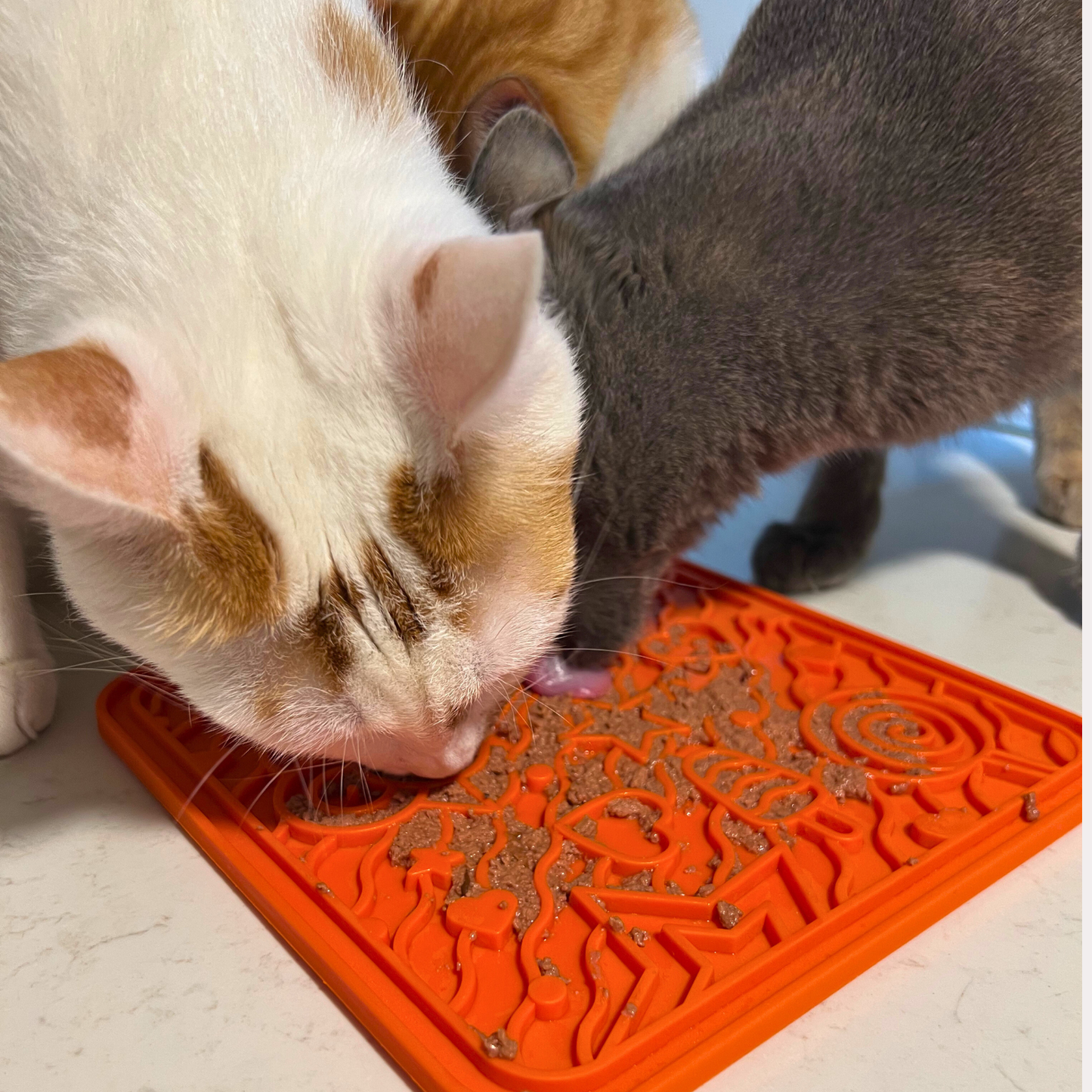 WufWuf&MyMeow TreatMate:An Earth-Friendly Treat Mat for Pets