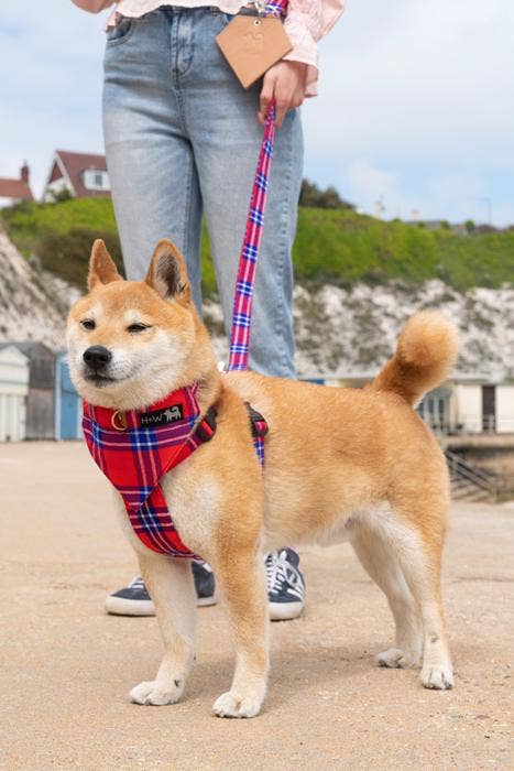 Shuka Red Dog Bandana