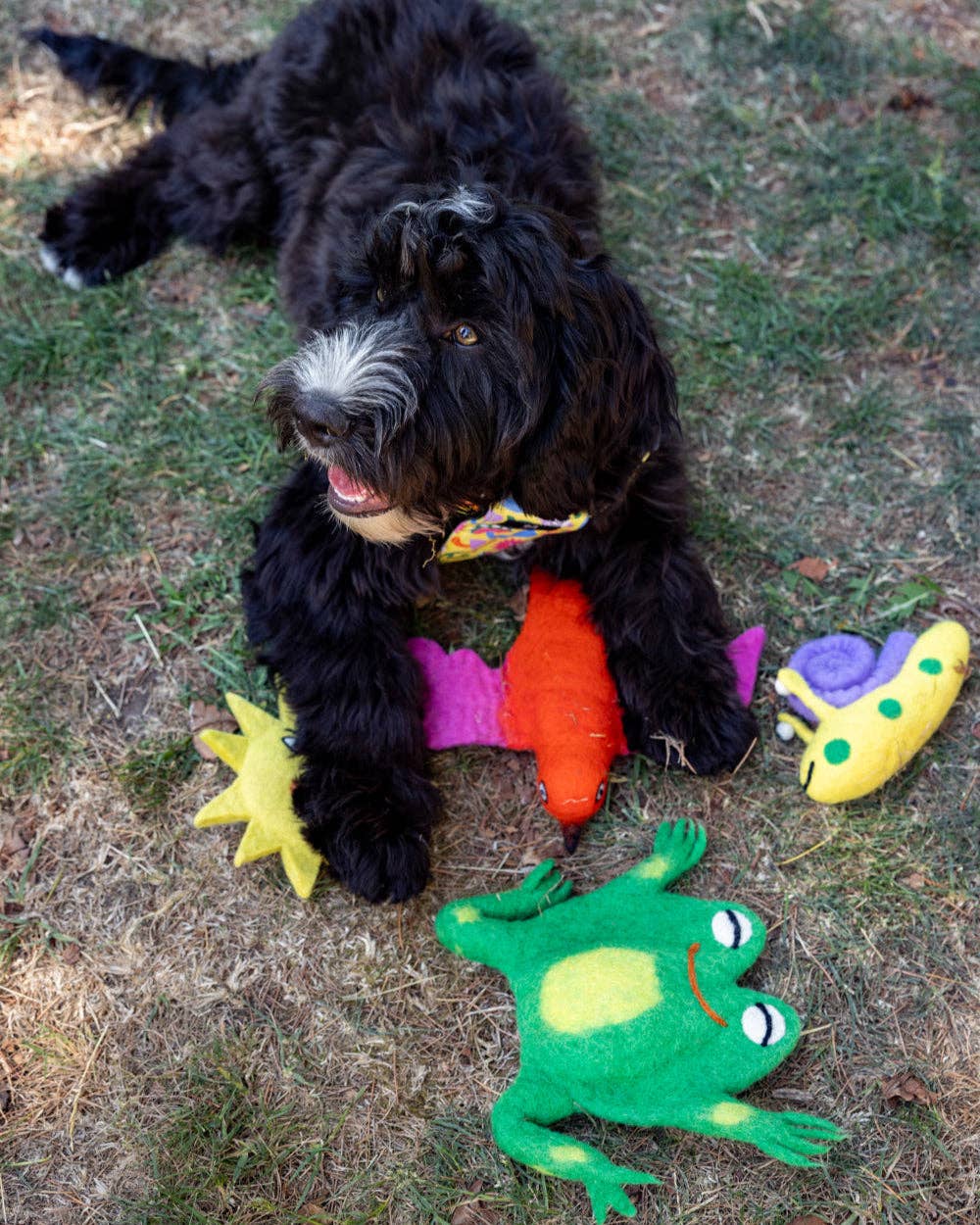 Freddy Frog Felt Toy