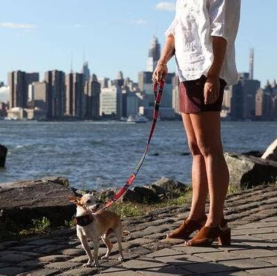 Hiro + Wolf Dakar Classic Dog Lead