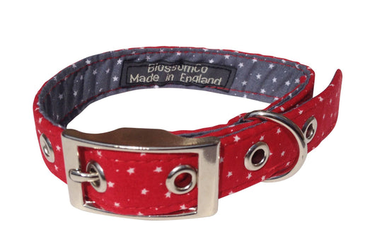 Stanley - Red Dog Collar