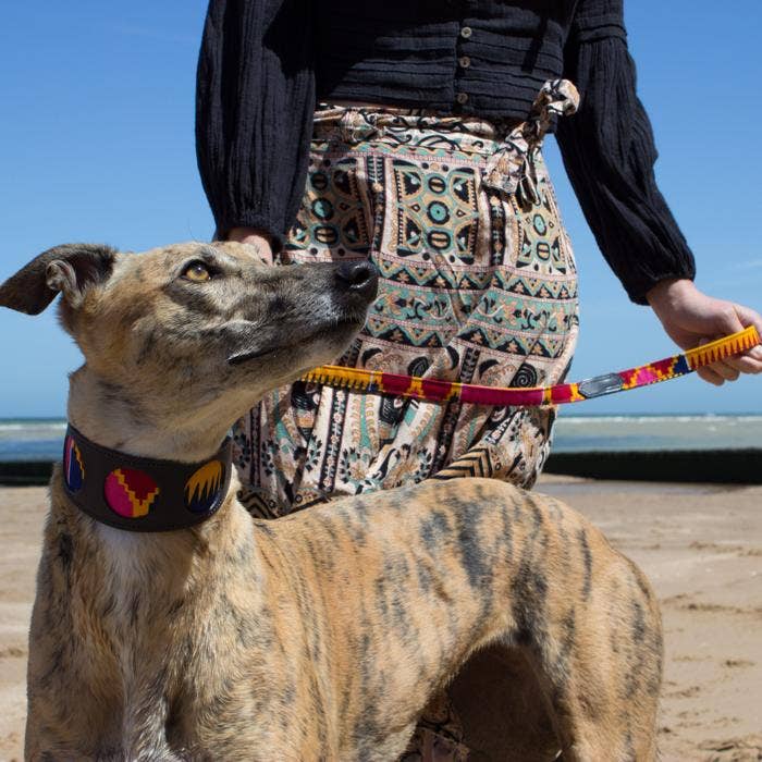 Hiro + Wolf Dakar Hound Collar