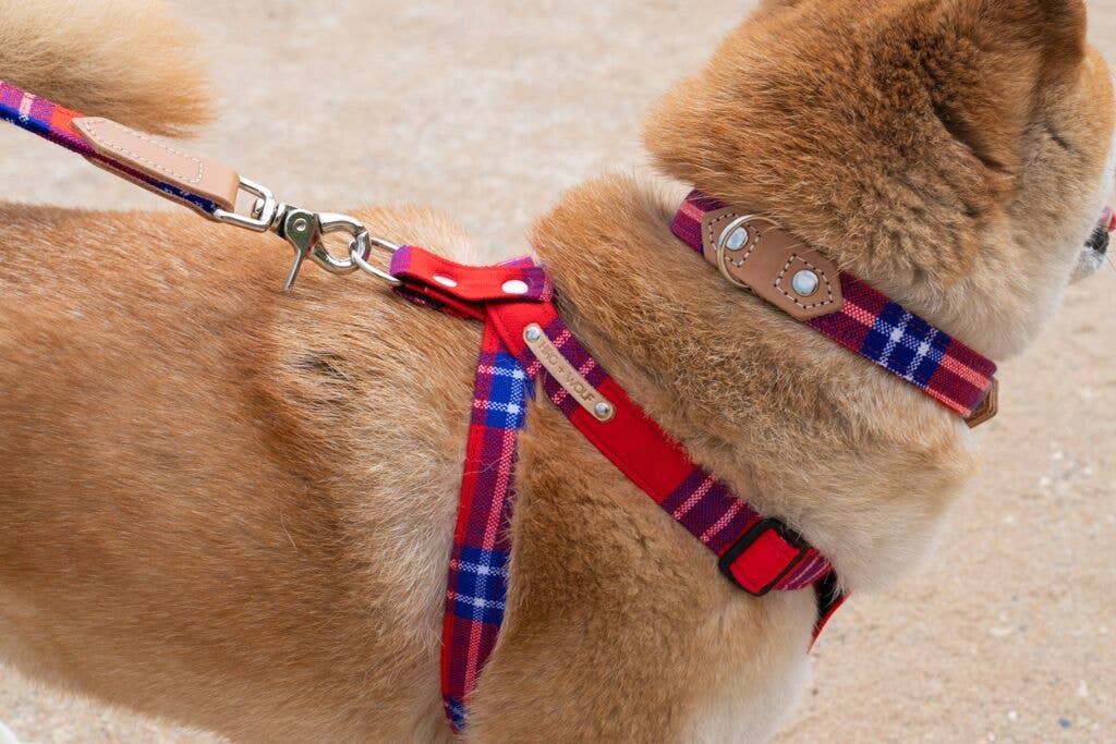 Shuka Red Dog Harness
