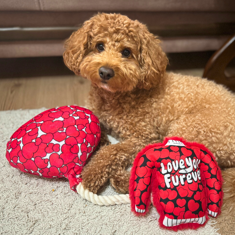 WufWuf Love is in the Air, Balloon-Shaped Rope Toy