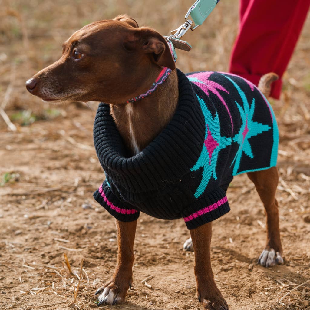 Hiro + Wolf 'Starry Night' Dog Jumper