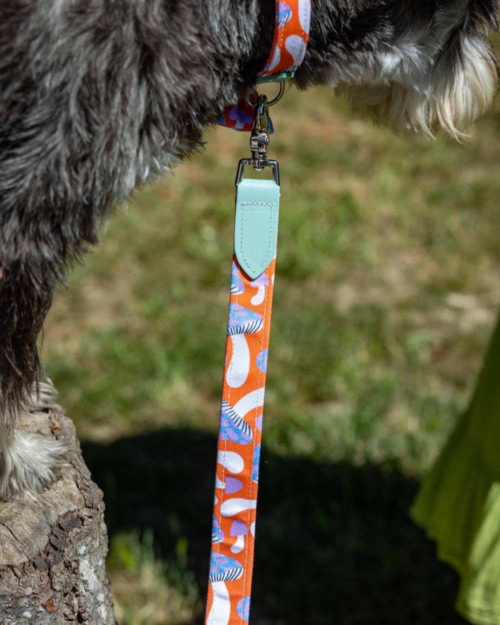 Hiro + Wolf Magical Mushrooms Classic Dog Lead