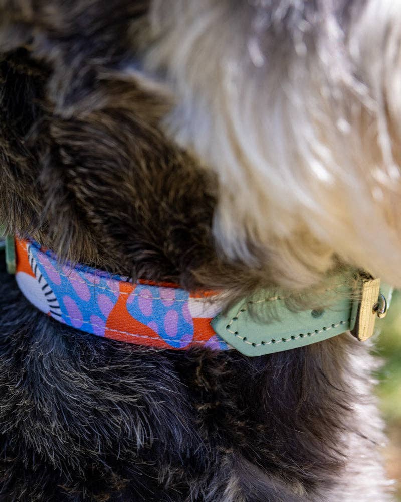 Hiro + Wolf Magical Mushrooms Dog Collar