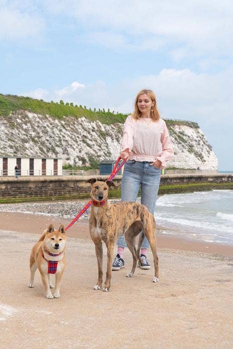 Shuka Red Dog Harness