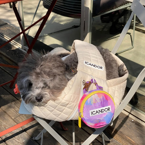 iCANDOR Dumpling Bag