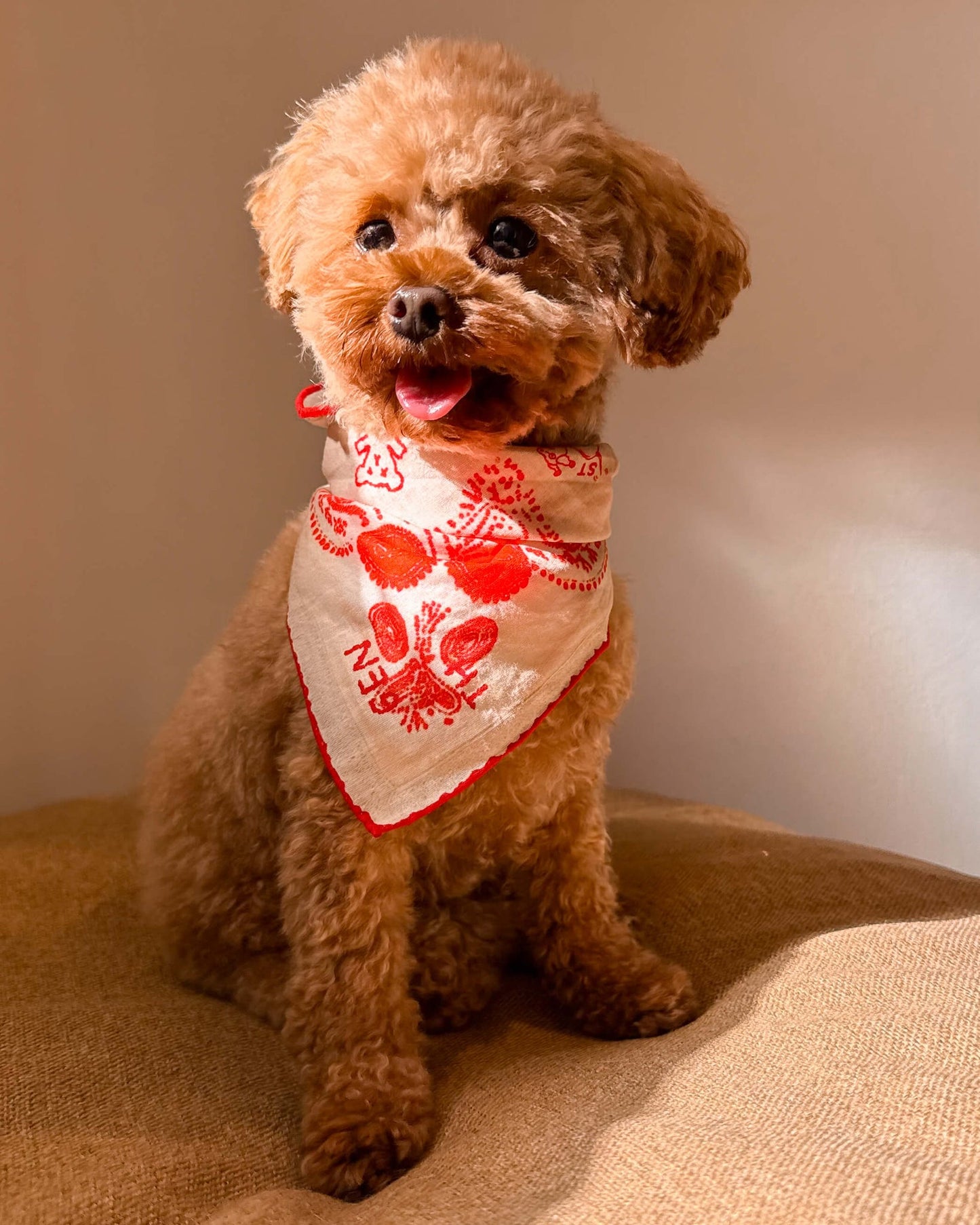 Lovefield Pet & Human Bandana